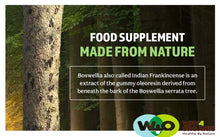 Load image into Gallery viewer, Boswellia Capsules 500mg 180 Capsules 90 Days Servings