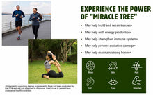 Load image into Gallery viewer, Moringa Seed and Leaf Powder in (20:80) ratio. One Powder with Two Benefits.