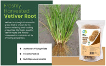 Load image into Gallery viewer, Vetiver Root/Dried Khus-Khus/Vetiveria Zizanioides (50 grams), Young Roots Not Aged Matured Roots, Natural Herbal Coolant