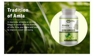 Amla Fruit Extract Capsules (Tablets) - 300 Pills, 150 Servings, 1000 mg, Amalaki Fruit