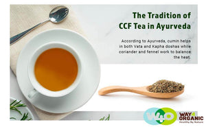 CCF Tea (Cumin, Coriander, Fennel) - Digestive Tea to Support Natural Detoxification 8 Ounces