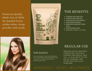 Amla Powder for Hair Growth Organic 4 Oz, Indian Gooseberry amalaki Supplement - Way4Organic