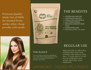 amla powder for skin