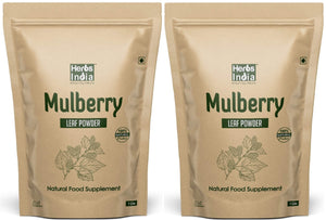 mulberry powder bulk