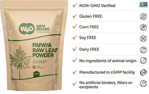 Papaya Leaf Powder 16 Ounces(1 Pound), Dried from Fresh Green Leaves, Good to make Tea, juice extract, 100% Leaves Powder(No Fruit, No Seeds) - WAY 4 ORGANIC W4O